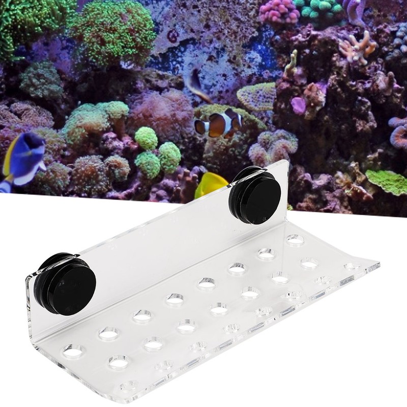 Aquarium Marine Coral Racks Bracket Holder Fish Tank Button Frame