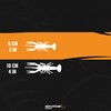 4D Craw 3" & 4" 6pcs| Ultra Realistic Look