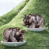 Hxswkk 3" Bear Figurine Gifts for Hand Carved, Gemstone for