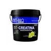 Creatina Monohidratada Alta Pureza Polvo Nit-pro 3kg 600ser