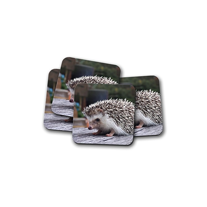 4 Set - Adorable Hedgehog Backed Drinks Coaster - Cute