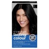 Clairol Lasting Colour Permanent Hair Dye | Ideal Grey Coverage