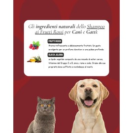 Jojoba Dog Shampoo Red Fruit Concentrate Anti-Allergic Soft and Bright Nourishing Shampoo Gentle Shampoo Ideal for Dogs Short Fur and Long Hair 250ml (Red Fruit Scent)