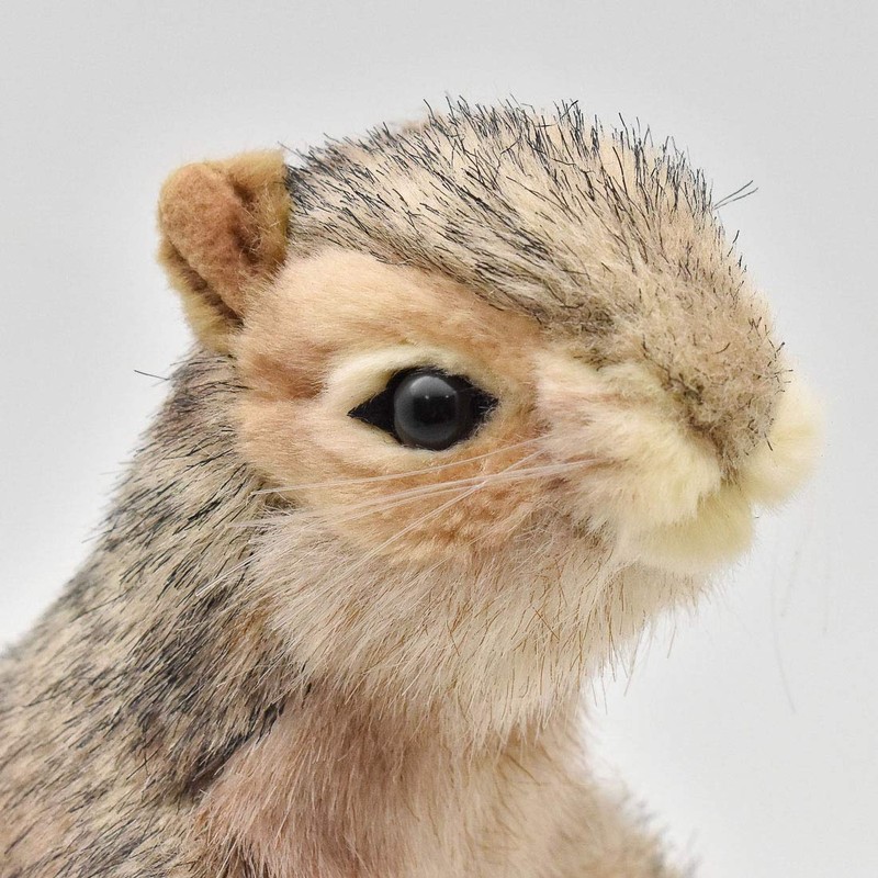 HANSA Hirolis No. 4841