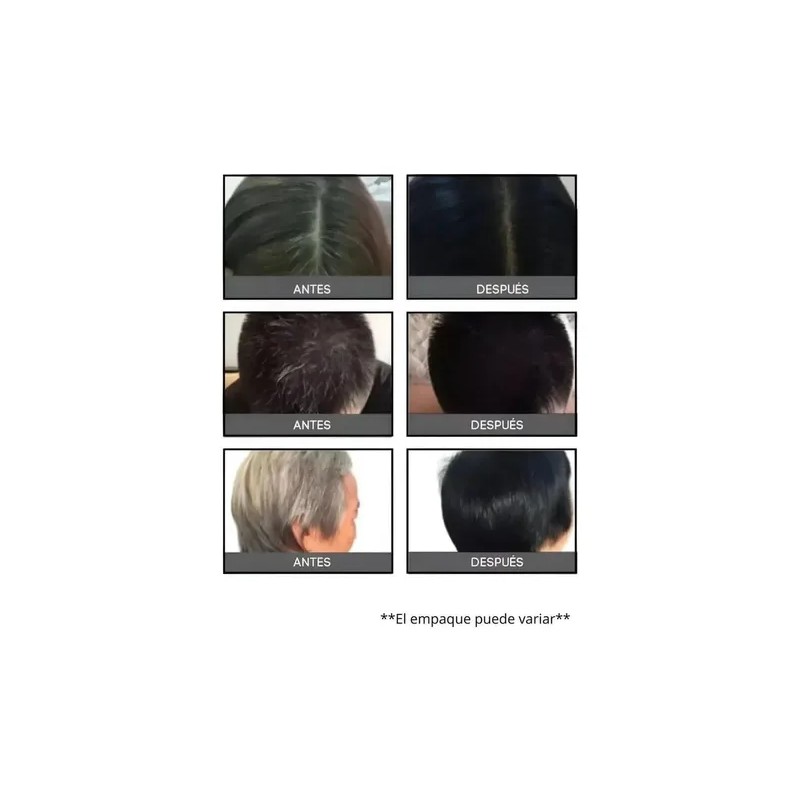 Shampoo Tinte Negro Instantáneo Cubre Canas Jengibre 530ml