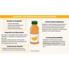 ECO-VITS DIOSMIN & Hesperidin (1000MG) 30 Tablets, Circulation & Vein