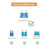 Riseuvo 150pcs Car Automotive Rv Standard Fuses - Auto ATO