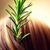 Rosemary Hair Growth Elixir - 150 ml