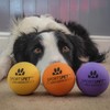 SPORTSPET Langlebige High Bounce Sport Bälle für Hunde 3er Pack