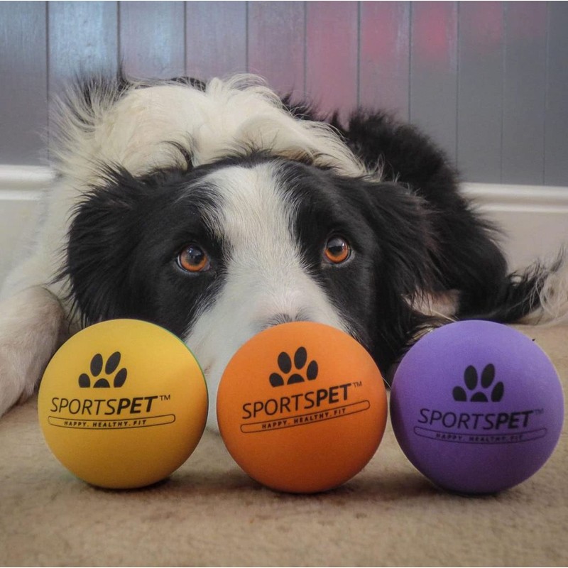 SPORTSPET Langlebige High Bounce Sport Bälle für Hunde 3er Pack