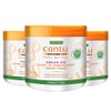 Cantu Argan Oil Leave-In Conditioning Repair Cream, 453g, 3 pieces / Cantu 아르간 오일 리브-인 컨디셔닝 리페어 크림, 453g, 3개