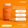 Moods | Multivitamínico Natural - Adaptógeno Melena de León y