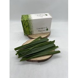 Tagua Holder with 7 Palo Santo Wood & Resin Premium Sticks (Tagua 7 Sticks)