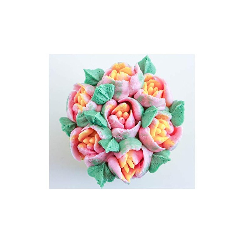 Russian Piping Tips Cake Decorating Complete Set, WOWDECOR 24pcs Baking