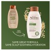 Aveeno Farm-Fresh Oat Milk Sulfate-Free Shampoo. New