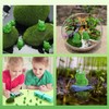 EKisemio 50 Pcs Mini Frog Garden Decor | Green Frog