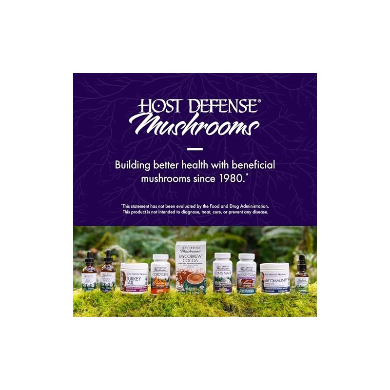 Host Defense MycoBrew Matcha Drink Mix with Lion's Mane Mushroom