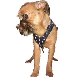 Black Genuine Leather Rhinestones Dog Harness for Small Dogs 13"-17.5" Chest