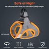 FAYOGOO Cat Harness and Lead Set, Cat Harness for Walking