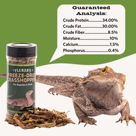 Fluker's Freeze Dried Grasshoppers, Nutrient-Packed, Ideal for Lizards, Reptiles, Birds, Fish, Hedgehogs, 1.7 oz
