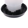 Hergon Kettle Shape Plastic Chicken Water Drinking Cup, Pet Water