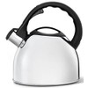 Bredemeijer 2.5 L Stainless Steel Teakettle High Gloss Metal, Silver