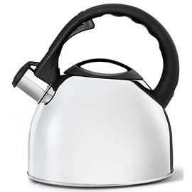 Bredemeijer 2.5 L Stainless Steel Teakettle High Gloss Metal, Silver