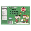 Mini Candy Canes, Cherry Flavored, Peanuts Individually Wrapped Christmas Candies,