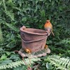 Vivid Arts - Robin on a Rusty Pale - BS-RB05-D