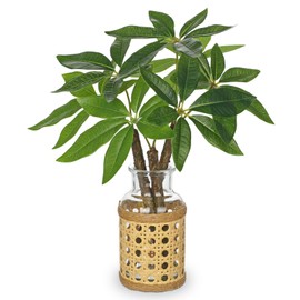 Hollyone Fake Money Tree Leaves Stems in Woven Glass Vase with Faux Water 11.8" Artificial Plants Indoor Money Tree Plant for Home Office Bedroom Shelf Farmhouse Wedding Table Centerpiece Decorations