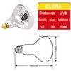Aiicioo UVB Reptile Light 160W - UVB Light Bulb for