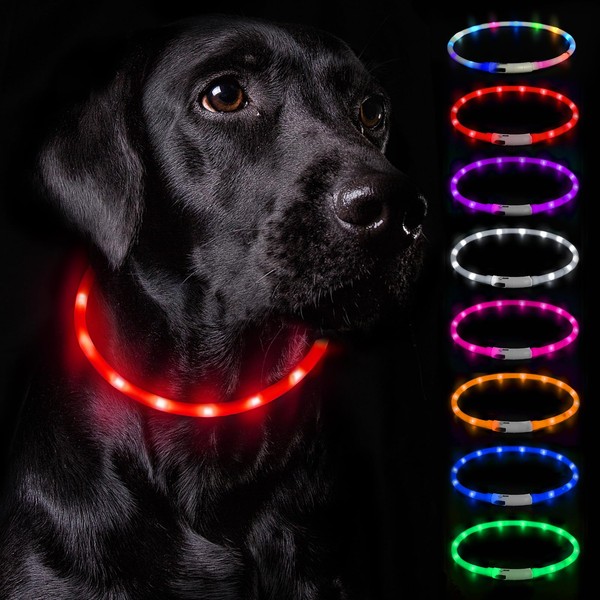 Nepfaivy Light Collar Dog USB Rechargeable - Dog Collar Luminous