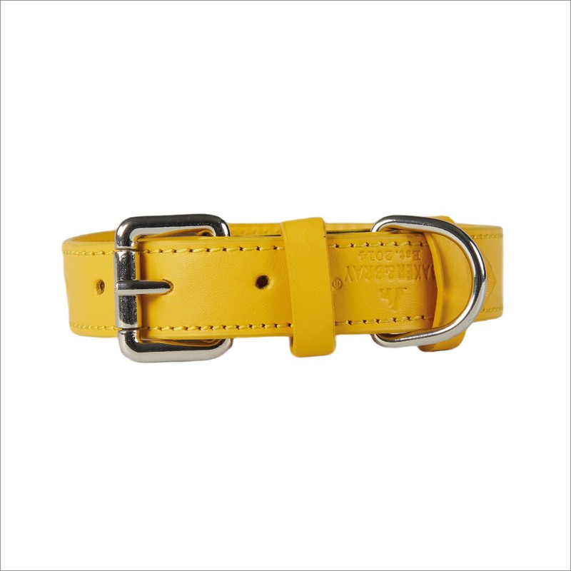 Baker and Bray Luxury Eco Friendly Genuine Leather Designer Dog