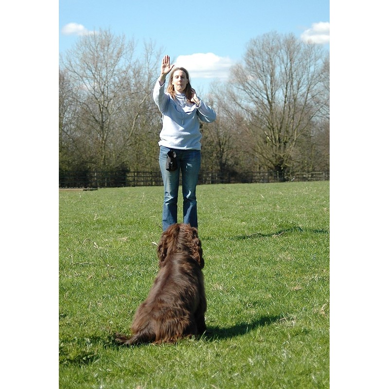 COMPANY OF ANIMALS High Frequency Whistle Ideal for Obedience and