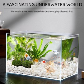 dellyy Small White Decorative Stones, 1000 g, Mini Pebbles, Vase Filler Decorative Stones, Garden Decorative Stones, White Small Decorative Gravel, Marble Gravel 10-30 mm, White Small Decorative