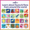 eeBoo: Memory and Matching Game - Life on Earth- 24