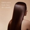 Shampoo Hotelero Económico Amenidades 60 Pz