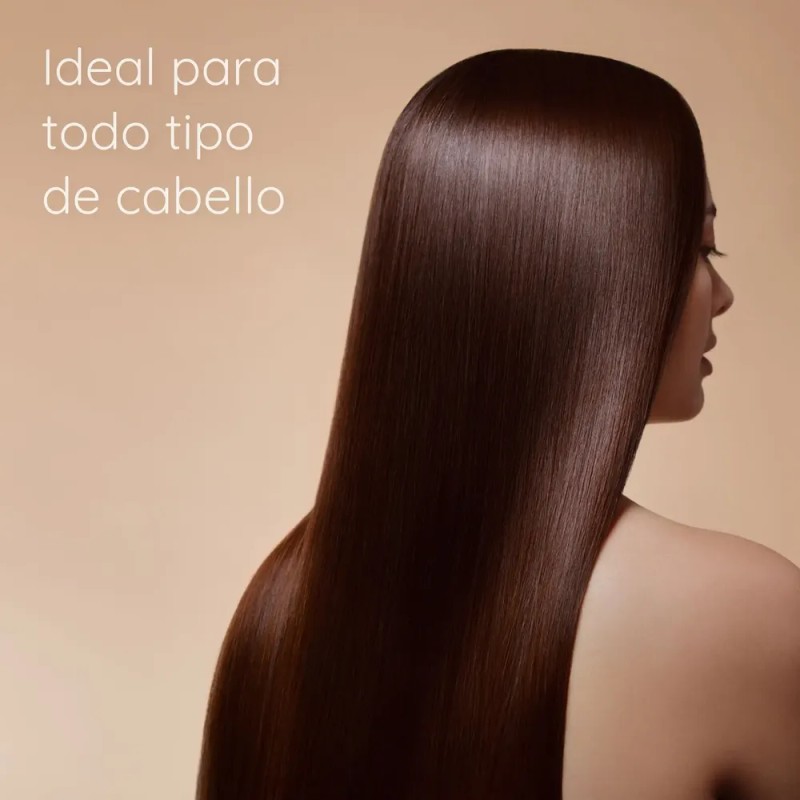 Shampoo Hotelero Económico Amenidades 60 Pz