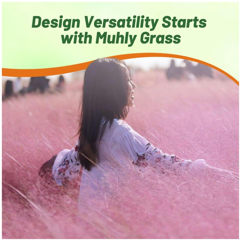 Outsidepride Pink Muhly Ornamental Grass Seeds - 100 Pcs, Perennial,