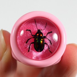 REALBUG Shiny Beetle Pink Ring Size 7