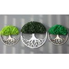 Hello Moss Wall Decoration Moss Pictures in the Shape of