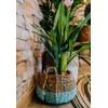 B SEPOR Ceramic Plant Waterer Set of 6 Pack Terracotta