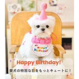 PetGround Dog Birthday Goods, Cat Birthday Hat, Set of 2, Cute, Costume, For Pets, Boys, Toy, Small Dogs, Medium Dogs, Puppies, Cats,