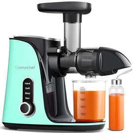 Juicer Machines,AMZCHEF Slow Masticating Juicer, Juicer with Two Speed Modes, Travel bottles(500ML),LED display, Easy to Clean Brush & Quiet Motor for Vegetables&Fruits - Color: Green