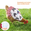PETKNOWS Chicken Saddles, Hen Apron with Elastic Straps, Suitable for