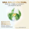 Shampoo Equilibrio Pro-v Miracles Raiz Puntas 300ml Pantene