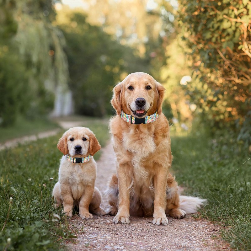Sweet Donuts Cupcake Dog Collars Soft Adjustable Collar Strap for