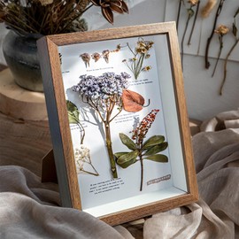 Qaixwuyi 3D Photo Frame Hollow Dried Flower Photo Frame Butterfly Photo Frame Fillable Objects Photo Frame Deep Photo Frame Wood Can Hold Objects Dried Flowers Souvenir