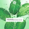 Yves Rocher PURE MENTHE Clarifying Exfoliating Face Care with Organic