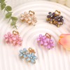5PCS Small Flower Hair Claw Clips for Women Mini Crystal